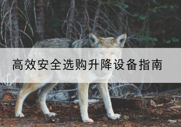 安宁升降货梯厂家推荐-*安全选购升降设备指南